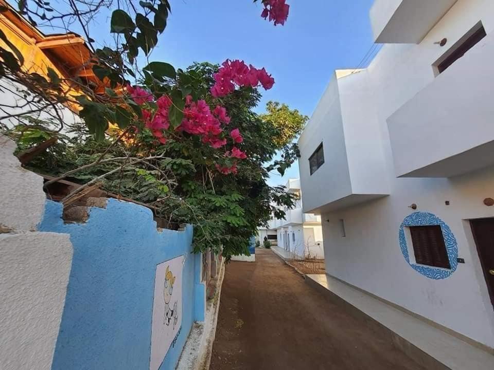 Villa A5Ena House à Dahab Extérieur photo